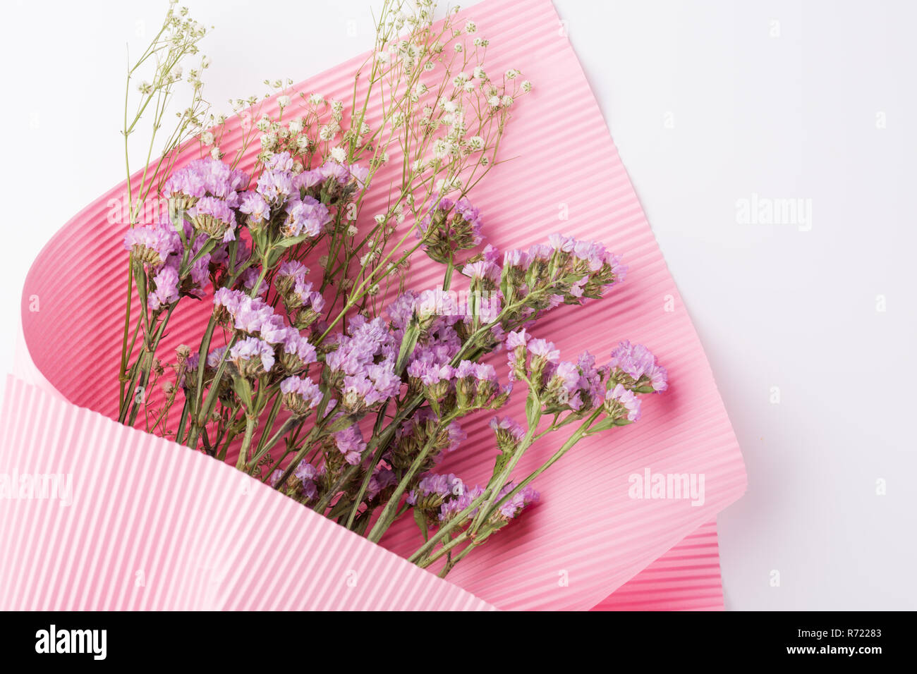 A bunch of flowers on a white background. Sea lavender, baby`s breath Gypsophila flowers Stock Photo